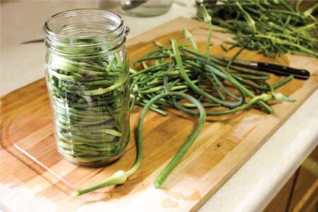 Garlic Scape Pickles Recipe